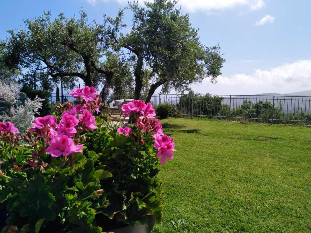 임페리아 Casa Vista Mare - Superb Garden And Parking Included 빌라 외부 사진